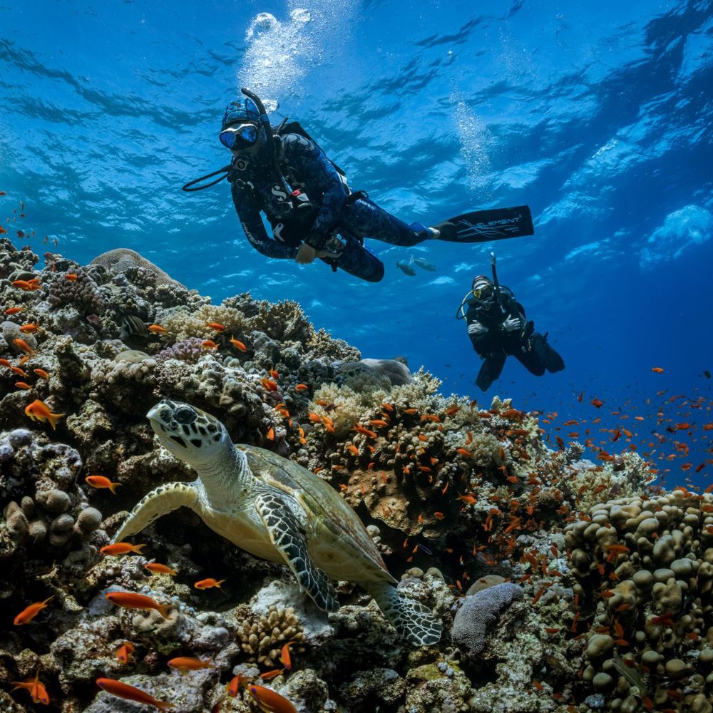 Calm beginner scuba student during early training