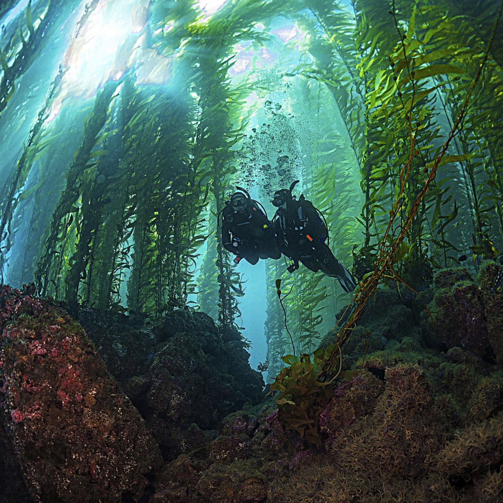 Friends starting scuba lessons together
