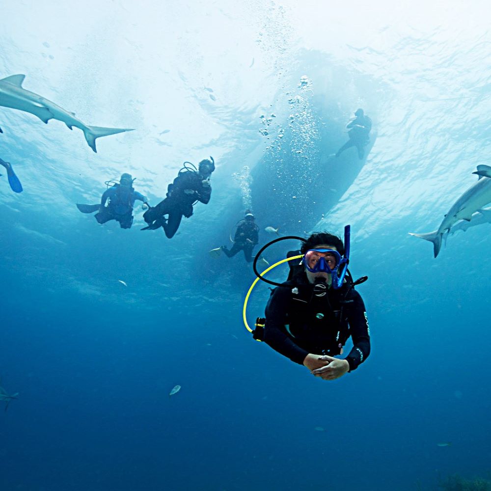 Local scuba training in Ann Arbor