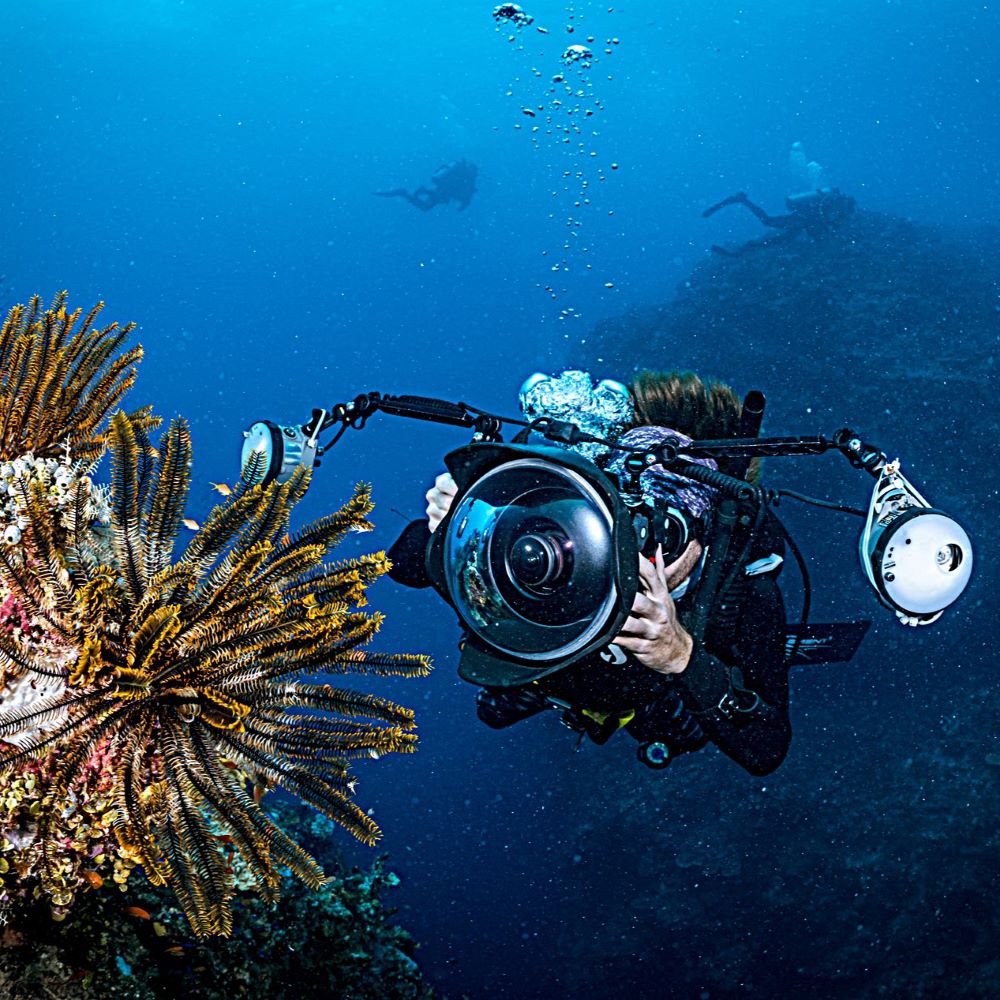 Beginner divers continuing locally after certification