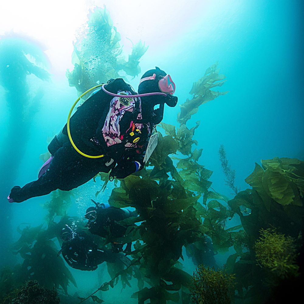 Instructor guiding a new diver through training