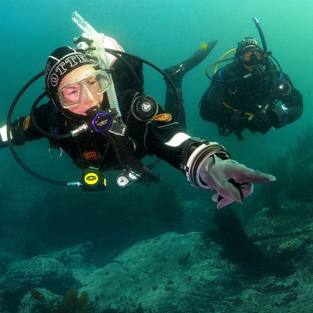 Scuba training progression in Ann Arbor