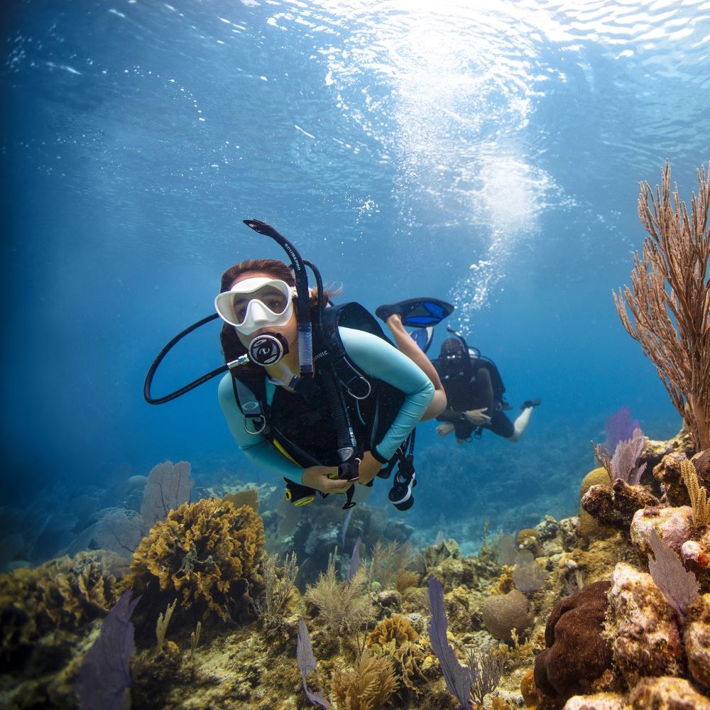 Beginner scuba certification path in Ann Arbor