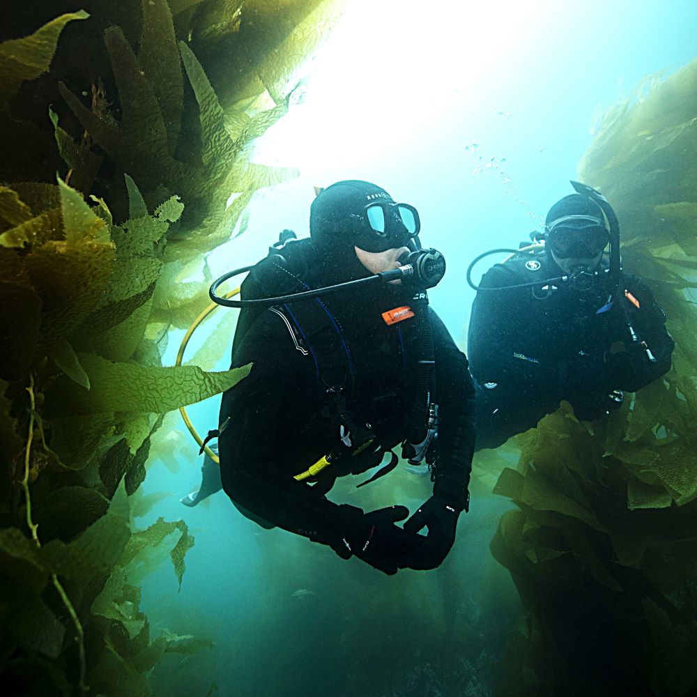 New diver taking the first step toward certification