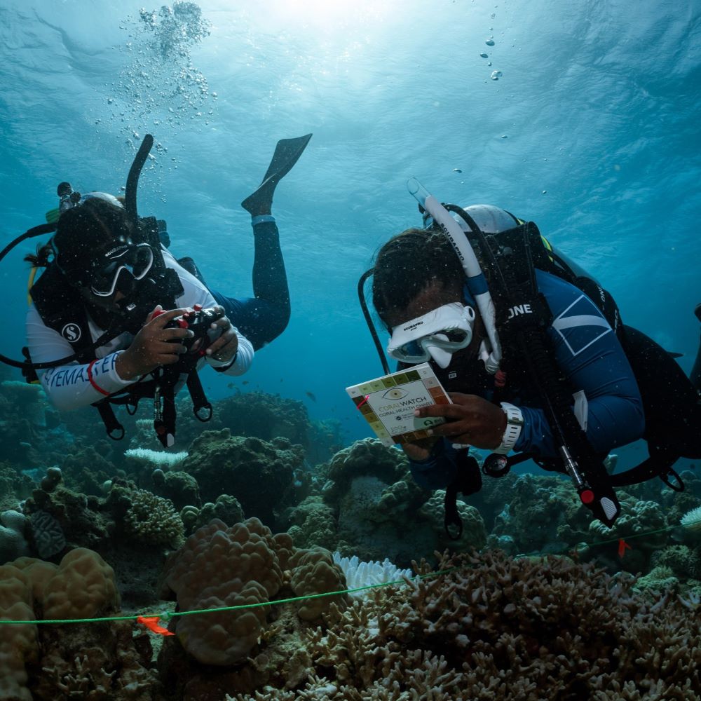 Happy new diver beginning scuba certification